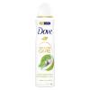 Dove Advanced Care Matcha Green Tea &amp; Sakura Blossom 72h Antiperspirant za žene 150 ml