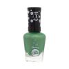 Sally Hansen Miracle Gel Holiday Collection Lak za nokte za žene 14,7 ml Nijansa 918 Under The Tree