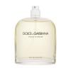 Dolce&amp;Gabbana Pour Homme Toaletna voda za muškarce 125 ml tester