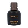 Dolce&amp;Gabbana Pour Homme Intenso Parfemska voda za muškarce 40 ml