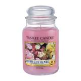 Yankee Candle Fresh Cut Roses Mirisna svijeća 623 g