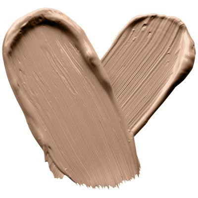 Wet n Wild MegaLast Incognito All-Day Full Coverage Concealer Korektor za žene 5,5 ml Nijansa Light Honey