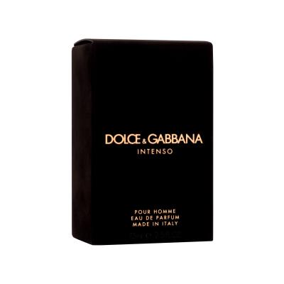 Dolce&amp;Gabbana Pour Homme Intenso Parfemska voda za muškarce 75 ml