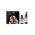 L'Oréal Professionnel Absolut Repair Molecular Glacial Utopia Limited Edition Poklon set šampon Absolut Repair Molecular 300 ml + serum za kosu Absolut Repair Molecular 250 ml