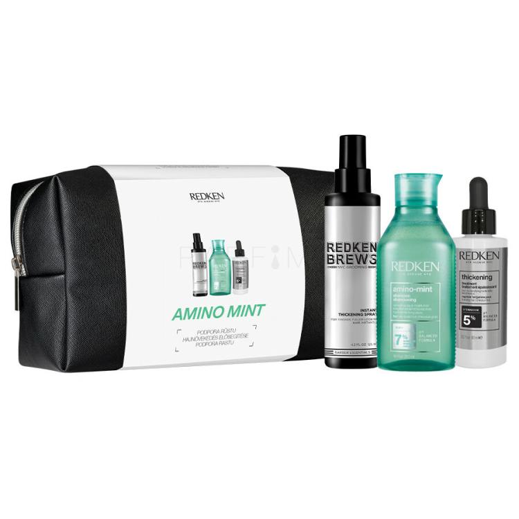 Redken Amino-Mint Shampoo Poklon set šampon Amino-Mint Shampoo 300 ml + sprej za kosu Brews Instant Thickening Spray 125 ml + njega kose Thickening Treatment 90 ml + kozmetička torbica