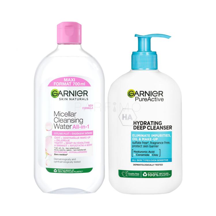 Set Micelarna voda Garnier Skin Naturals Micellar Cleansing Water All-in-1 + Gel za čišćenje lica Garnier Pure Active Hydrating Deep Cleanser